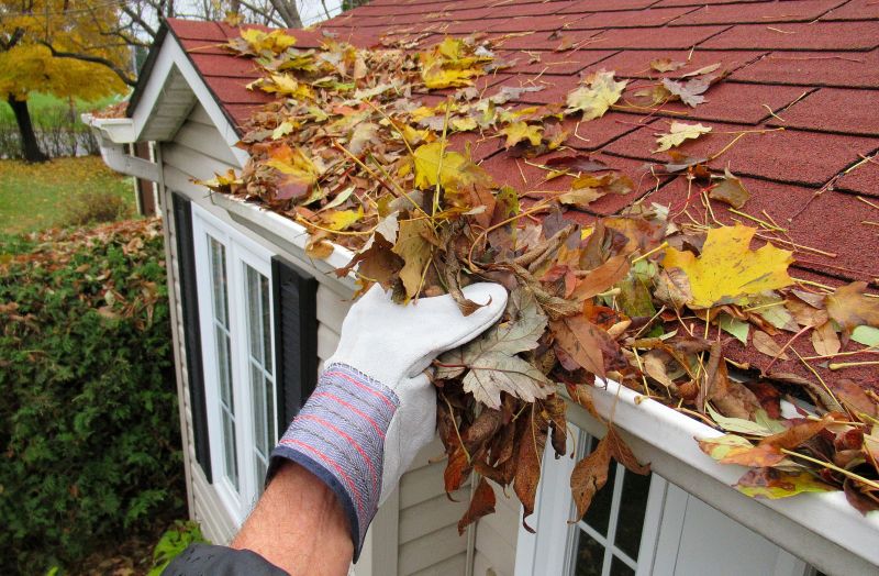 Gutter and Roof Maintenance